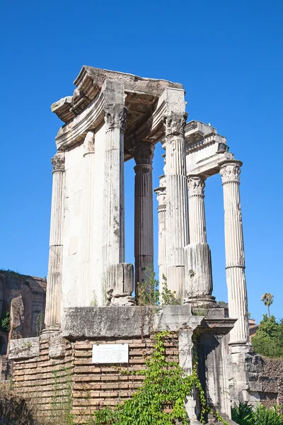 Ruins of the forum — Stock Photo, Image