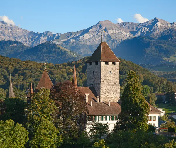 Hrad Spiez — Stock fotografie