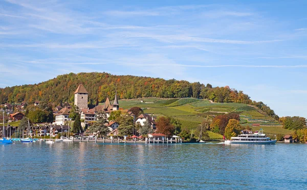 Spiez замок на озеро Тун — стокове фото