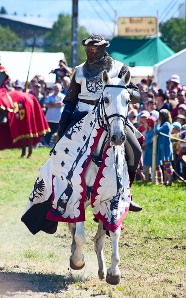 Homme en armure de chevalier sur le cheval — Photo