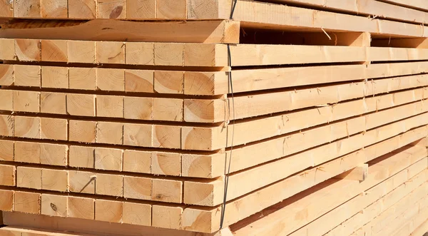 Pilha de novos pregos de madeira — Fotografia de Stock