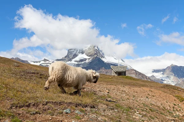 Famosa montaña Matterhorn — Foto de Stock