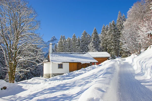 Inverno sulle Alpi svizzere — Foto Stock