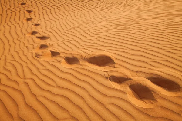 Rode zand "Arabische woestijn" in de buurt van Dubai — Stockfoto