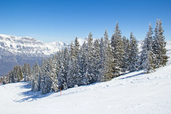 Zima w szwajcarskich Alpach — Zdjęcie stockowe