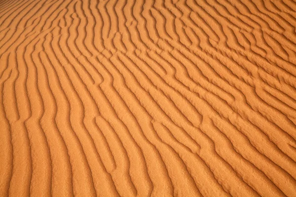 Vörös homok "Arab-sivatagban" Dubai közelében — Stock Fotó