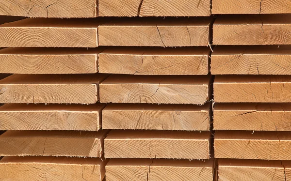 Borchie di legno fresco — Foto Stock