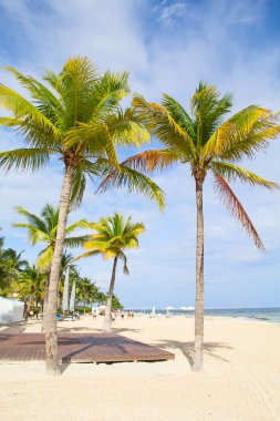Kumlu plaj Cancun içinde