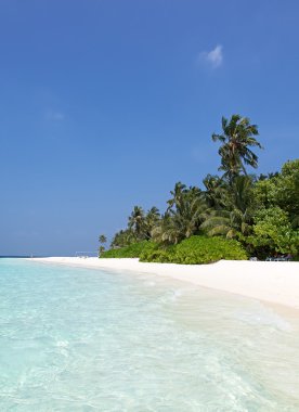 Maldivlere Island beach