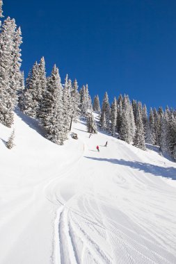 İsviçre Alpleri'nde kış