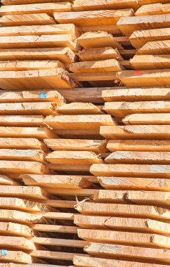 taze ahşap Çıtçıt