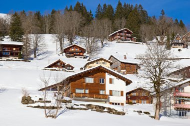 İsviçre Alpleri'nde kış