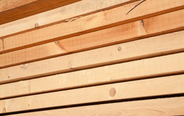 taze ahşap Çıtçıt