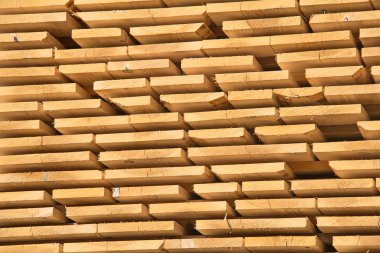 taze ahşap Çıtçıt