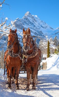 At arabası. İsviçre Alpleri'nde kış