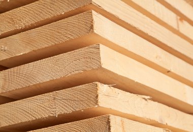 taze ahşap Çıtçıt