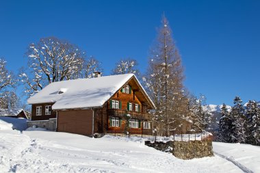 İsviçre Alpleri'nde kış
