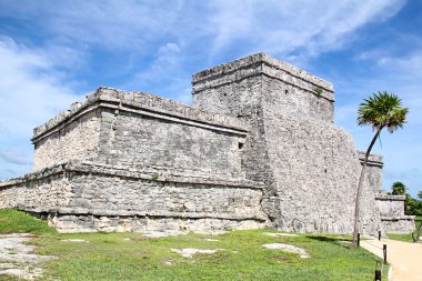 Maya kale ve tapınak kalıntıları