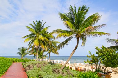 Kumlu plaj Cancun içinde