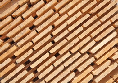 taze ahşap Çıtçıt