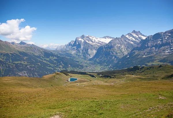 Famoso pueblo Grindelwald en los Alpes suizos —  Fotos de Stock