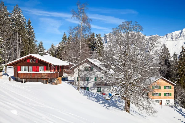 Inverno nelle Alpi svizzere — Foto Stock