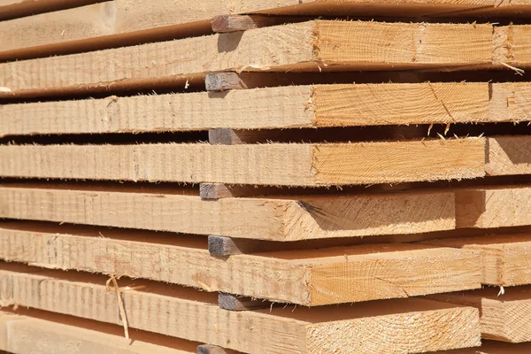 Fresh wooden studs — Stock Photo, Image