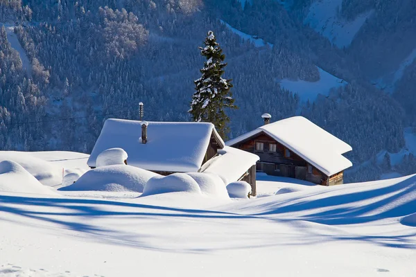 Vinter i schweiziska Alperna — Stockfoto