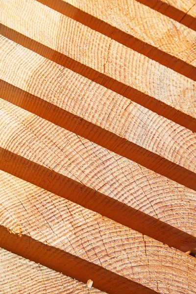 Borchie di legno fresco — Foto Stock