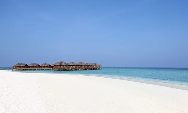 Мальдивский пляж — стоковое фото