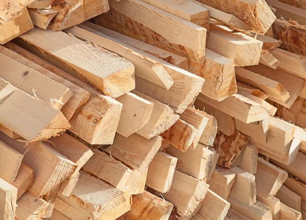 Fresh wooden studs — Stock Photo, Image