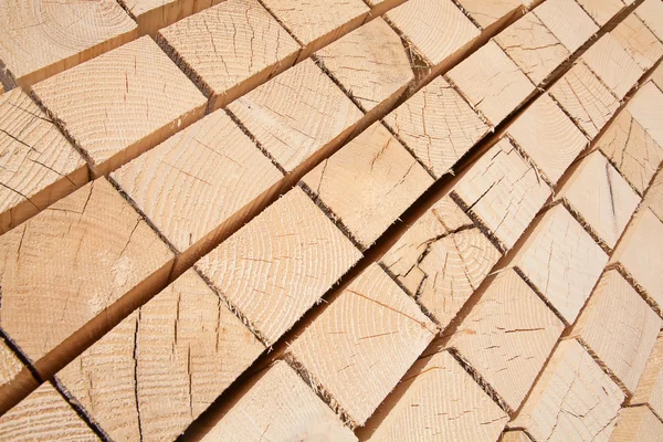 Borchie di legno fresco — Foto Stock