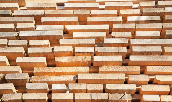 Frische Holznieten — Stockfoto