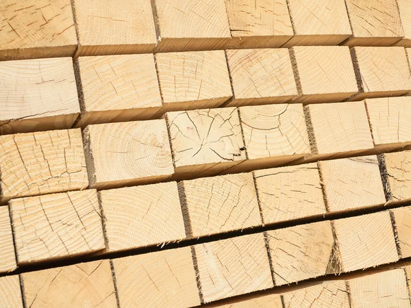 Frische Holznieten — Stockfoto