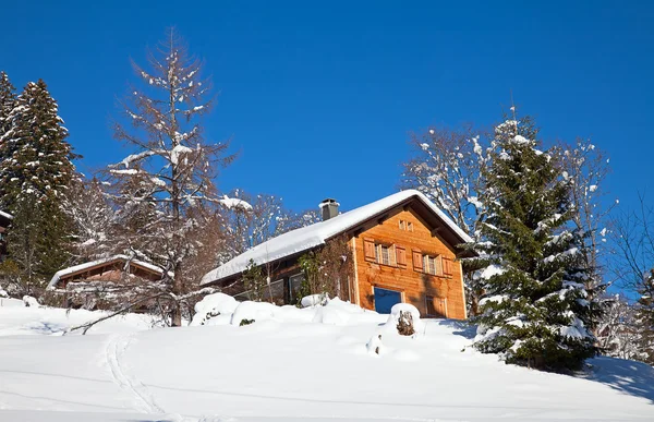 Winter in de Zwitserse Alpen — Stockfoto