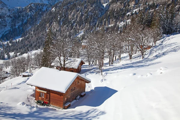 Inverno nelle Alpi svizzere — Foto Stock