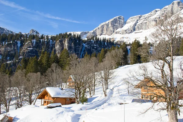 Winter in de Zwitserse Alpen — Stockfoto