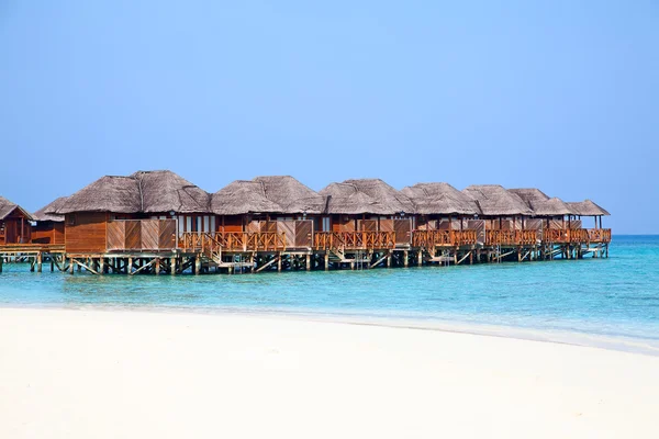 Maldivlere Island beach — Stok fotoğraf