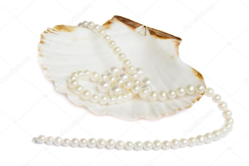 Pearl necklace over sea shell