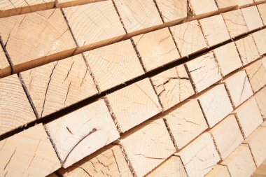 Yeni ahşap Çıtçıt