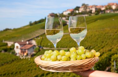 bardakları, şarap ve üzüm