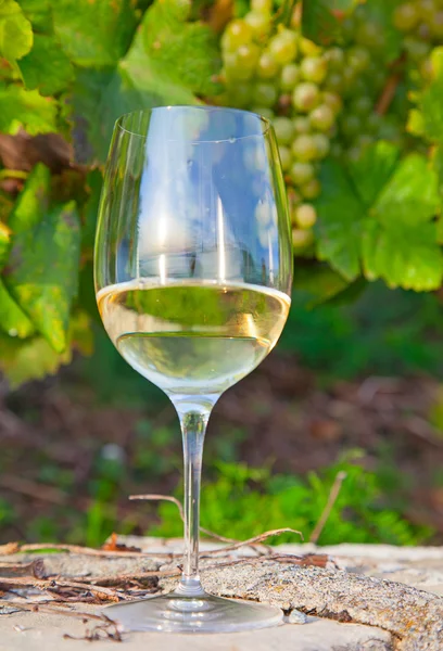 Közelkép egy pohár borról — Stock Fotó