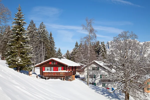 Vackert vinterlandskap — Stockfoto