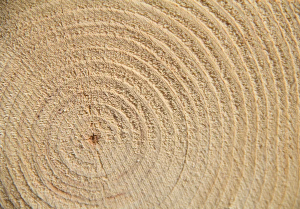 Nahaufnahme der Holzstruktur — Stockfoto