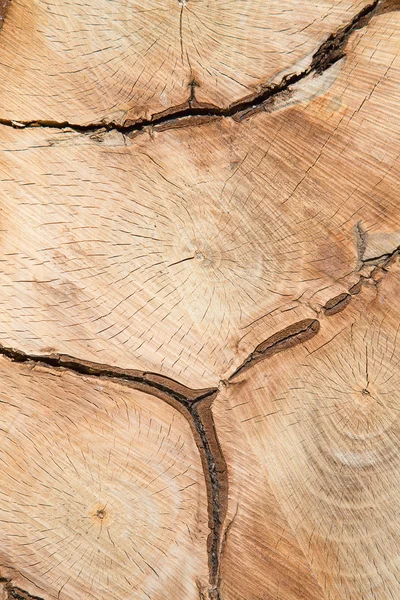 Texture di legno fresco — Foto Stock