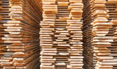 taze ahşap Çıtçıt