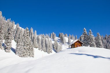 İsviçre Alplerinde kış