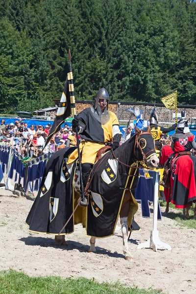Kimliği belirsiz Agasul şövalye zırhını erkekte — Stok fotoğraf