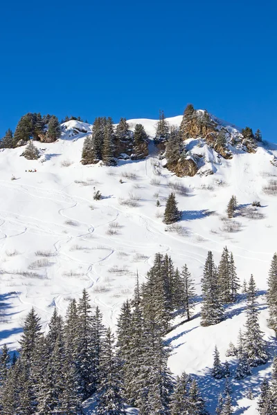 Zima w szwajcarskich Alpach — Zdjęcie stockowe