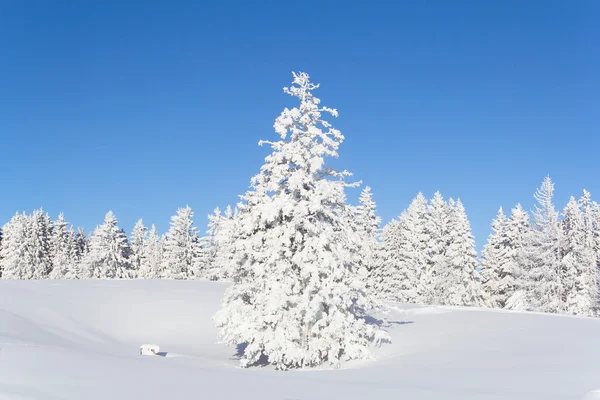 Paisaje típico de temporada de invierno suizo —  Fotos de Stock